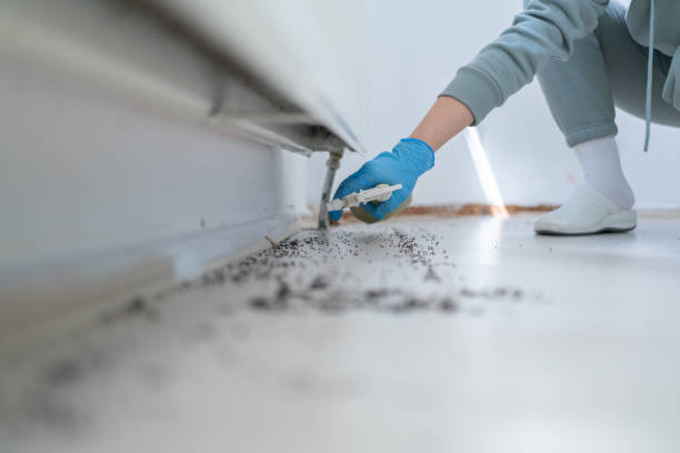 Insect Control in Slatington, PA